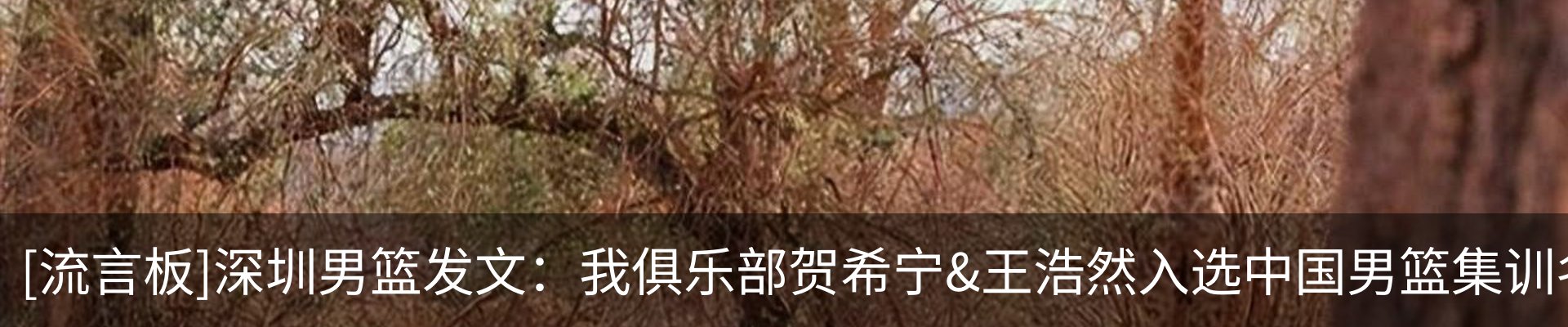 内页banner